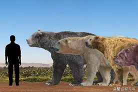 曾经统治陆地的5种巨兽，复活任何一种都能成为陆地王者图片