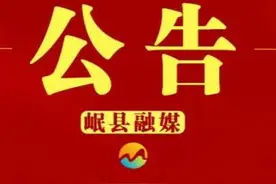 关于对马文明等同志拟晋升职级公示的公告图片