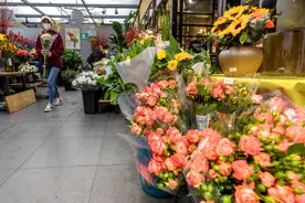 花草三不送，送了变仇人，不可否认，老祖宗说的话，真的有道理图片