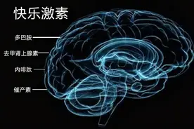 恋爱其实是种感觉，多巴胺上头后快乐就会随之而来图片