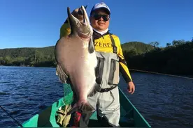 中国放流大马哈鱼，却游上了俄罗斯人餐桌？黑龙江的罚单该开给谁图片