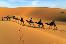 “中国骆驼之乡”不在新疆，而是在内蒙古？具体地区是哪里呢？图片