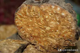 每天学习一味中药——阿魏图片