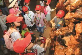 青少年学生生态文明素养提升对策研究图片