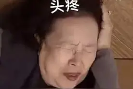 罗文姬女士表情包合集图片