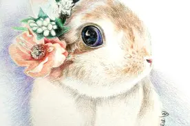 用心过暑假儿童学画参考教程，彩铅萌兔色彩写生步骤图片