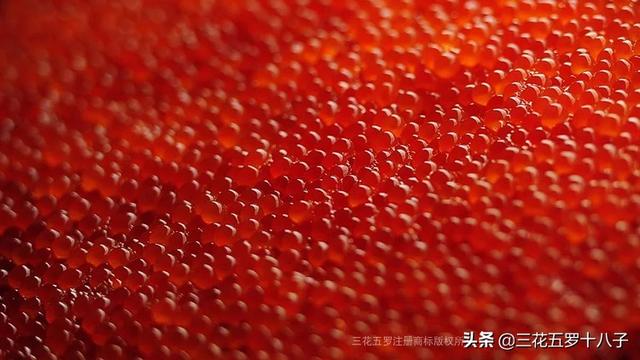 大马哈鱼籽第一次吃有点腥！第二次吃有点咸！随后一直都想吃