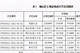 徐州将进行大范围“拆迁”，涉及6大片区，2021年内完成土地征收图片