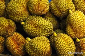 外媒：榴莲壳“变身”抗菌绷带，有助加速伤口愈合图片