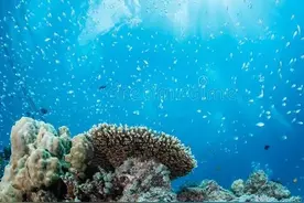 美国核潜艇，有可能是被自己的水雷所伤图片