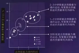 4分钟Tabata训练，高效粗暴的燃脂运动图片