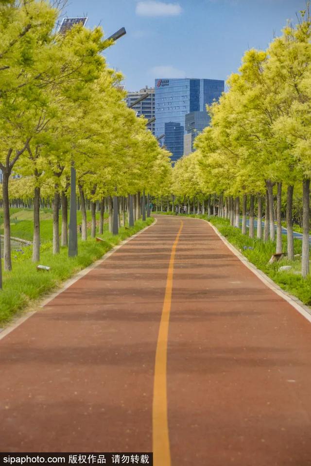 免费还不用预约！这个公园人少景美，还可以骑车~