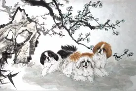 俗语“鸡不过六，狗不过八”，你知道什么意思​吗？图片