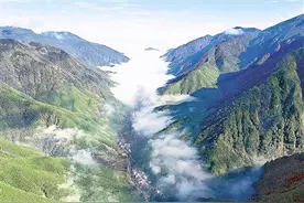 穿越无人区域 探秘原始森林“关注森林·探秘武夷”主题科考在武夷山国家公园举行图片