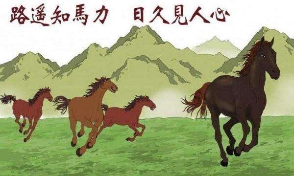 "患难与共,风雨同舟",方为夫妻之道