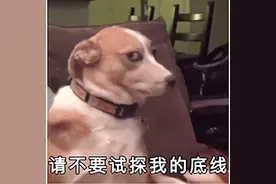 删库不用怕，容灾备份解决方案保你平安图片