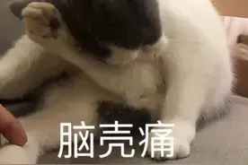 厕所“有人”别说“have people”，这样太尴尬了图片