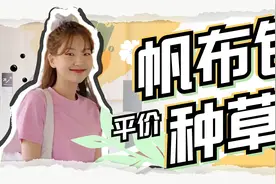 50款淘宝平价帆布包种草！好看百搭，巨能装图片