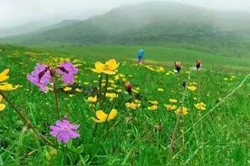 端午有约—中国十大非著名山峰-九顶山，赴一场花海云海的盛宴图片