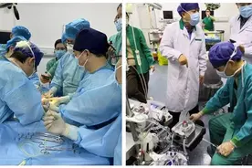 生孩子不需要女人？人造子宫再突破，我们离“生育工厂化”有多远图片