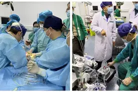 生孩子不需要女人？人造子宫再突破，我们离“生育工厂化”有多远图片
