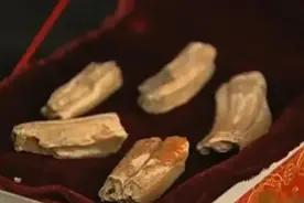 老人说自己见过真龙并拿出五块“真龙龙骨”，揭开了一段尘封往事图片