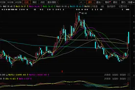 老周侃股：白云山为啥没人追了？图片