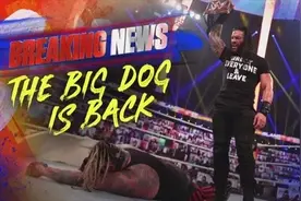 WWE：狂潮大赛，大狗，暴揍了邪神和怪兽，既然得了一场冠军赛图片