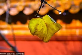 神秘！北京这个地方300年来谢绝参观，如今只在周末开放！图片