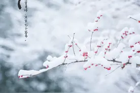 给照片加水印，在手机里装这4个APP就够了图片