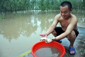夏季钓鱼必须钓深水吗？遇到这5种情况，就要钓浅水图片