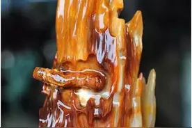 百亿天价的奇石~树化玉图片