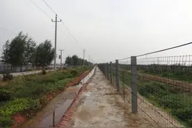盐碱地水肥配合事项，严防土壤变红、变白、变绿图片
