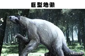 隐藏在亚马逊雨林中的8件神奇的事物图片