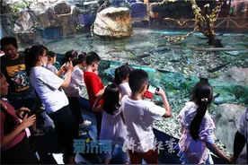 于城市一步入海，融创海世界带全家看深海奇观图片