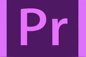 pr  项目素材管理图片