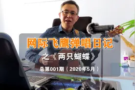 《两只蝴蝶》网际飞鹰弹唱日记「第001期」图片