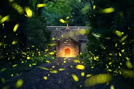 再见，2021年南京的夏天图片