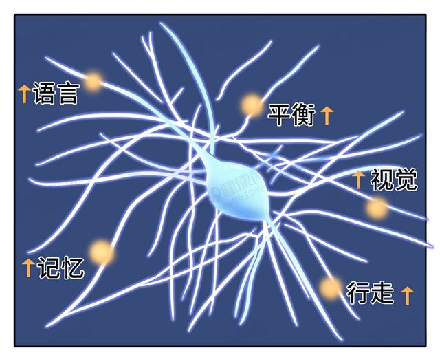 鱼肉含胶原蛋白 2026年鱼肉胶原蛋白含量