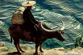 俗语“四大苦、四大悲、四大毒辣”，分别指的啥？有没有道理？图片