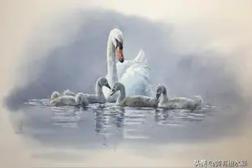 妈妈，我爱您图片