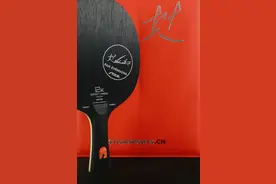 2020乒博会——斯帝卡图片