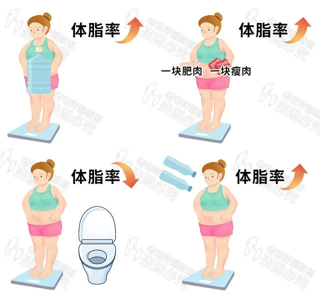 HTP身体仪器 HTP身体仪器