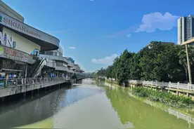 一直游到海水变蓝，一直走到月亮变圆图片