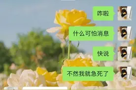微信激怒女友的n种方法图片