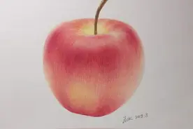 色铅彩绘 | 红苹果画法的详细步骤【零基础彩铅画入门教程】图片