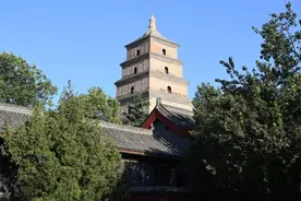 感染链再延长！上海夫妇的4名同游者确诊图片