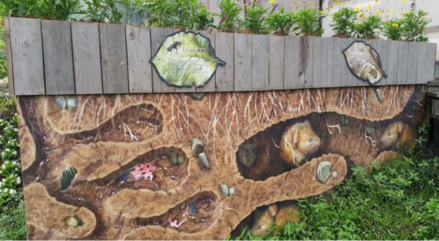 宝宝学画画教程：地下小动物