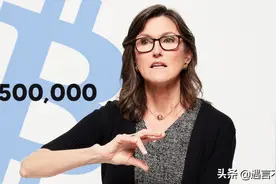 击败巴菲特的华尔街女股神，58岁创业，重仓特斯拉，碾压投资界图片