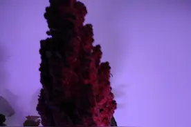 有没有跟我一样，每次做梦梦见别人，不是我想他们，而是别人想我图片